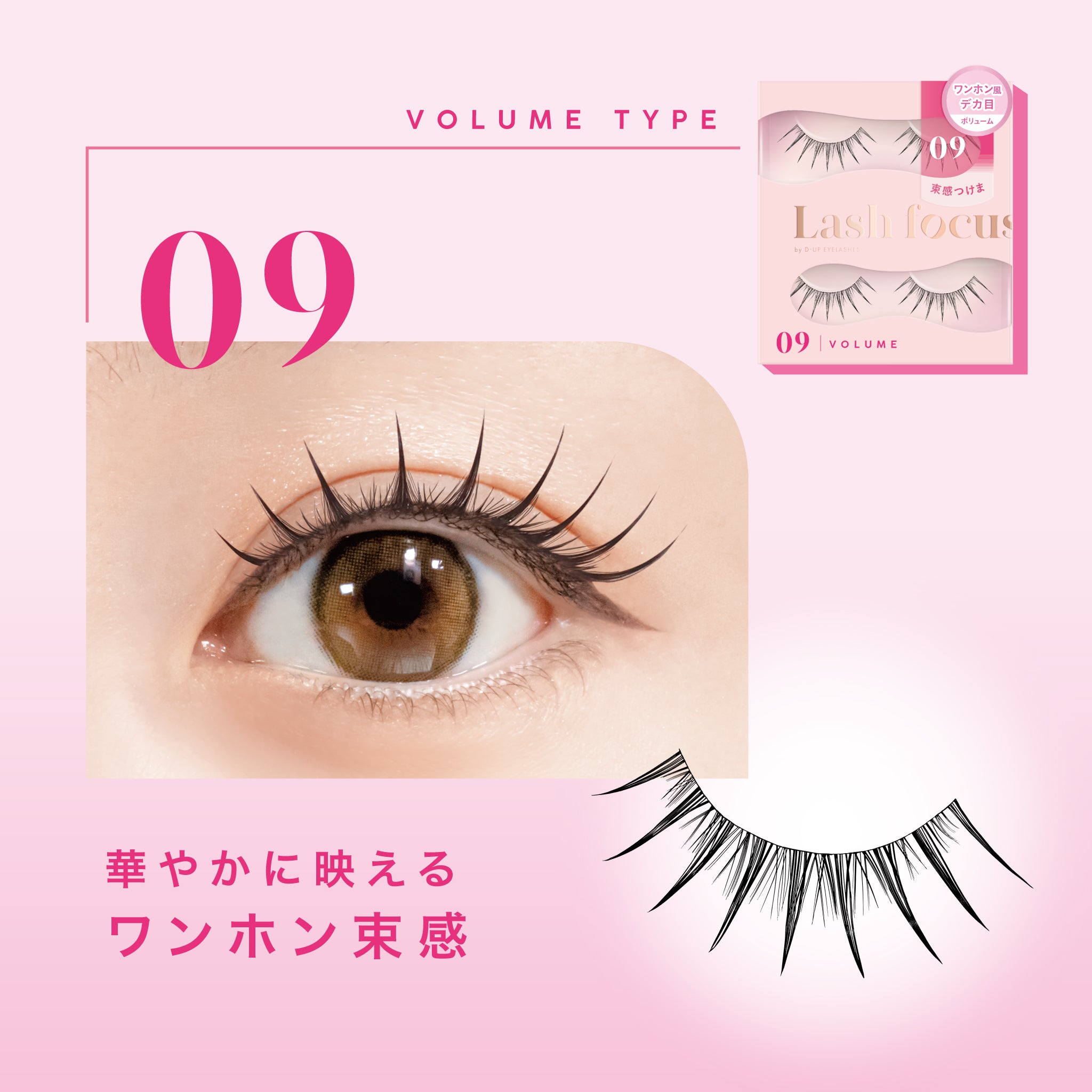 D-UP Lash focus (ラッシュフォーカス) 09 ＜ボリュームタイプ＞ | D