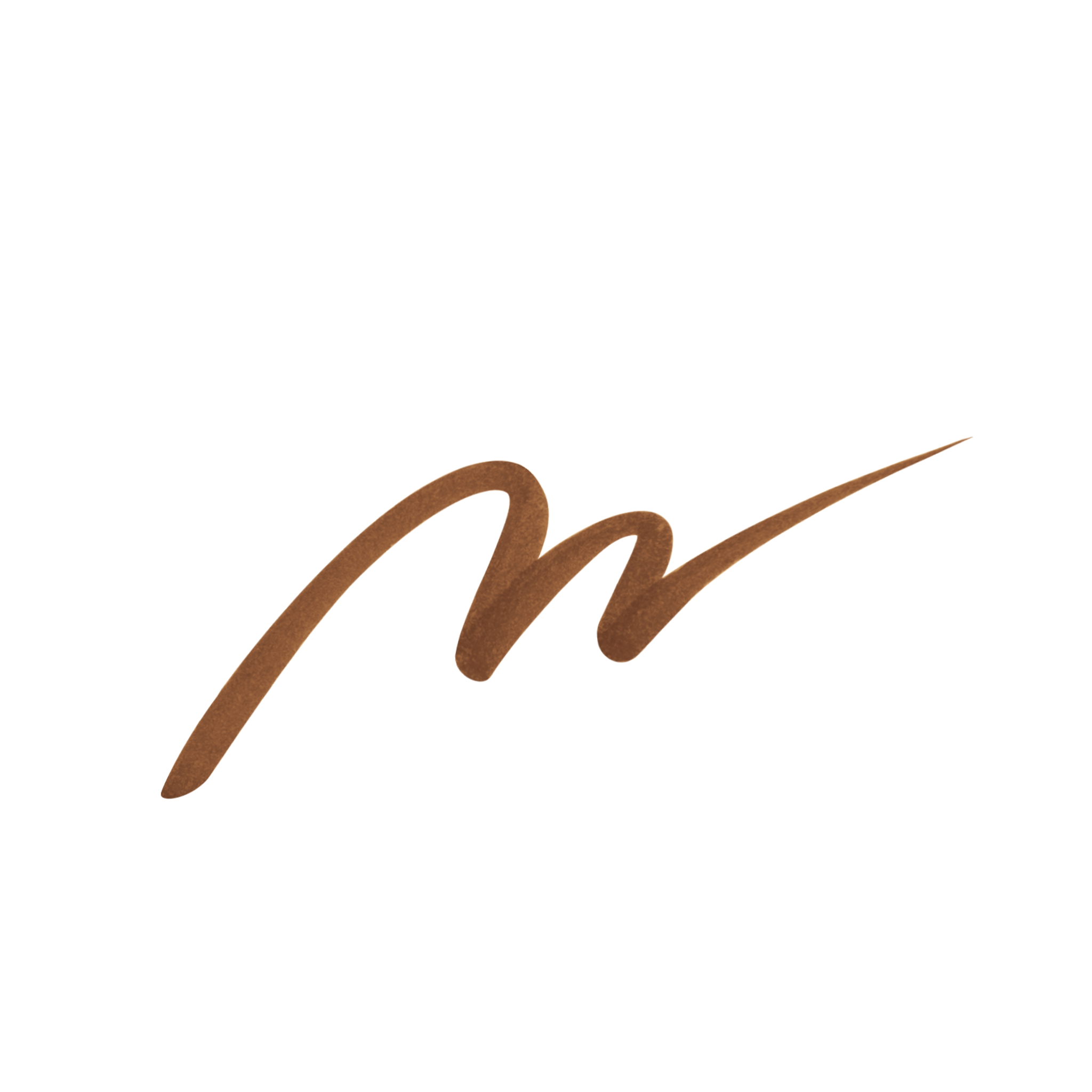 【4/22 新発売】シルキーリキッドアイライナーWP パーフェクトブラウン